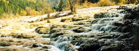 珍珠滩2010年海拔2433米，宽约160米，面积9.5万平方米