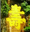 齐云山大寿字-慈禧手书